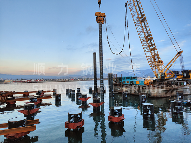 Shunli hilft dabei, den stetigen Fortschritt des Mehrzweck-Terminalprojekts von Hongkong, China Merchants Port Holdings in Ensenada, Mexiko, zu steigern.